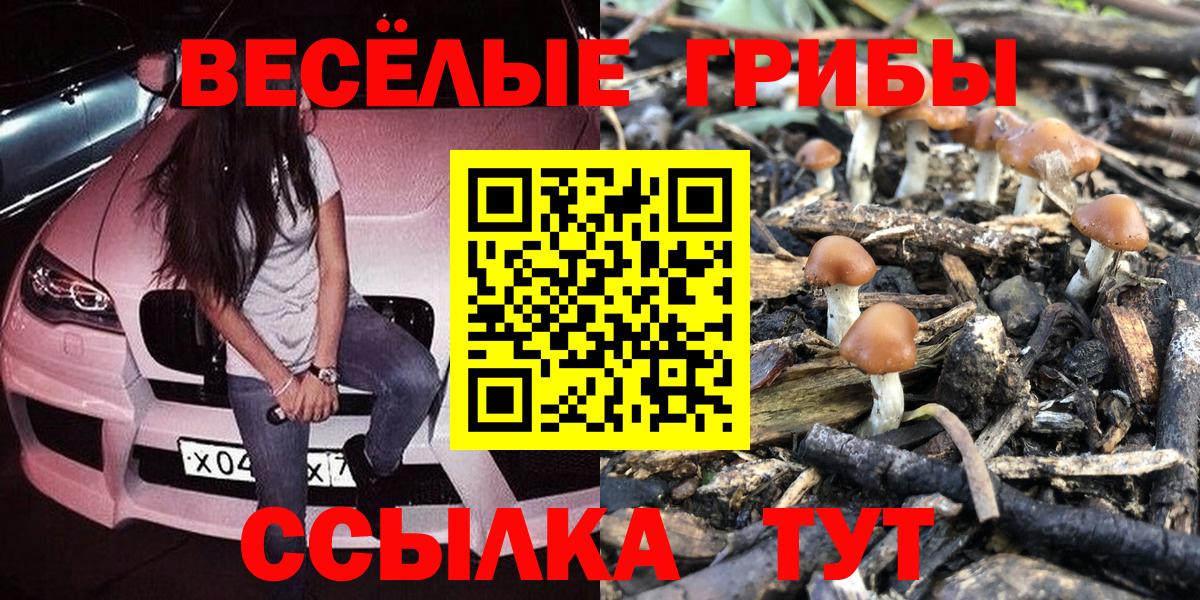 Коломна  Галлюциногенные грибы Cubensis  Вход с VPN 